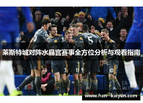 莱斯特城对阵水晶宫赛事全方位分析与观看指南